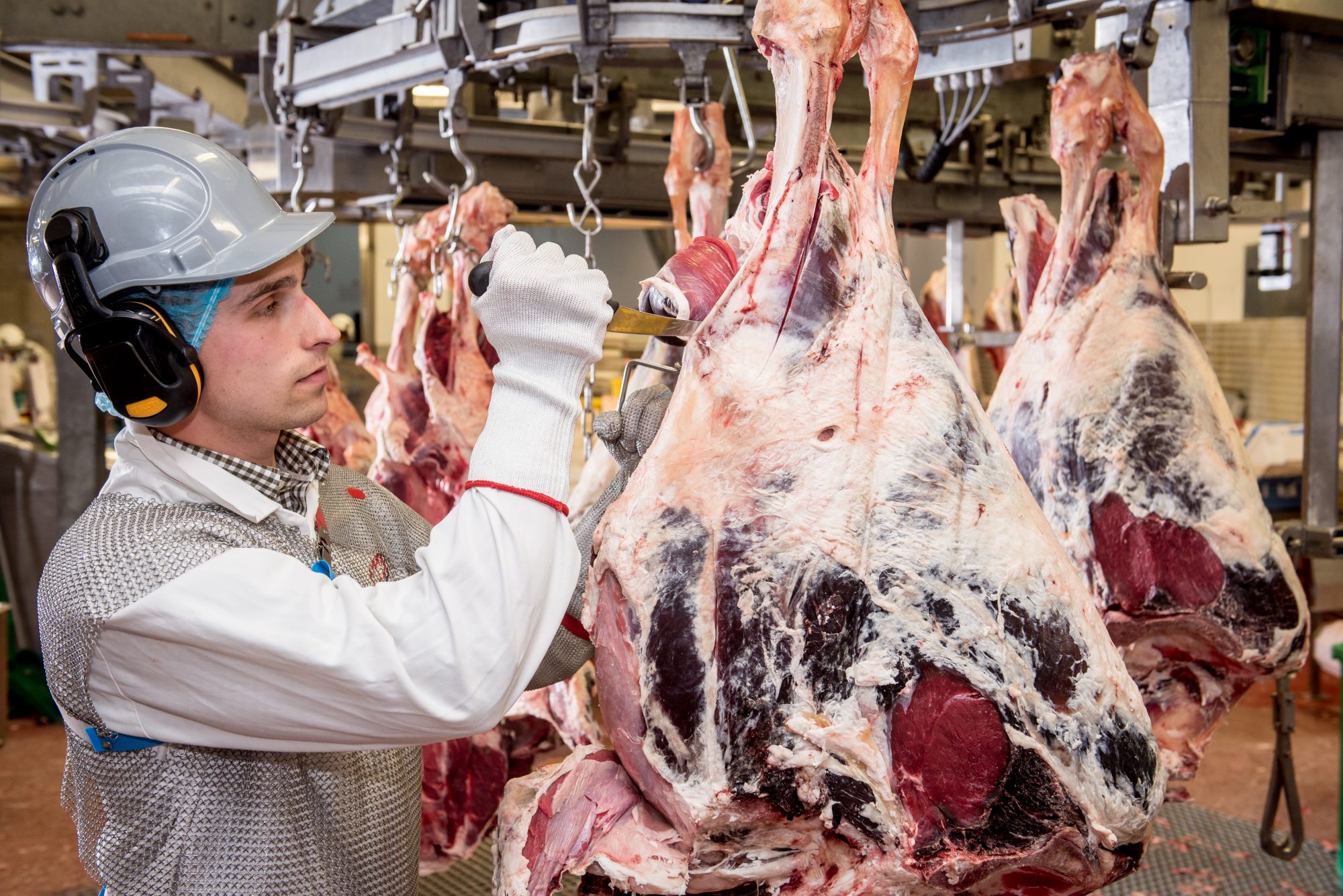 ABP begins ‘process butcher’ trailblazer apprenticeships